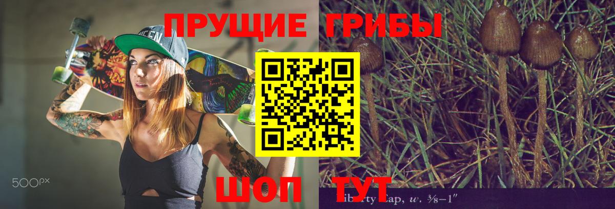 Абакан  Псилоцибиновые грибы мухоморы  Вход с VPN 